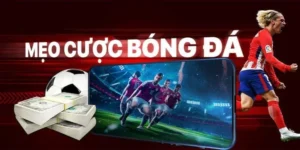 Bí Kíp Cá Cược Bóng Đá GO88 Từ A Đến Z Cho Người Mới