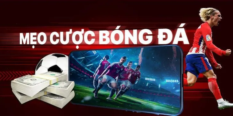 Bí Kíp Cá Cược Bóng Đá GO88 Từ A Đến Z Cho Người Mới